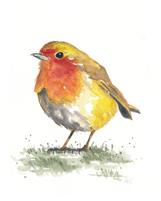 Oiseaux sélectionné